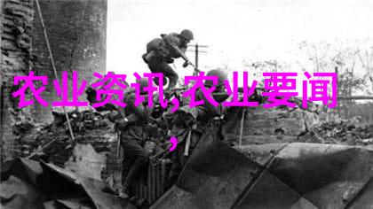 铁路工程教育的精英培养探索中国顶尖五所专业院校