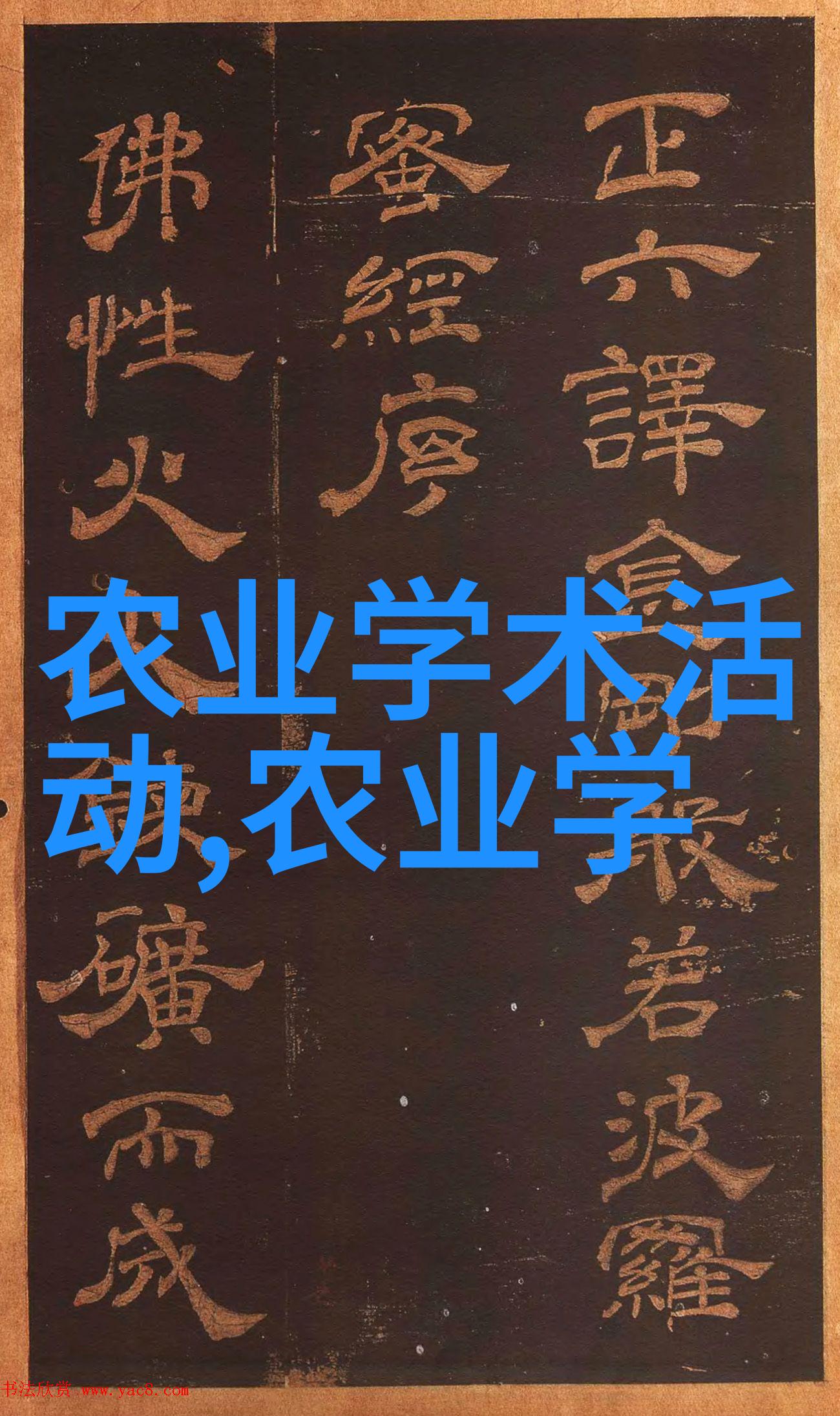 肉猪的出栏期