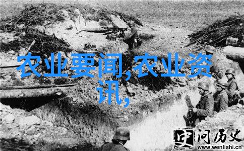 新一代蜂友必备新养蜂技术视频详解