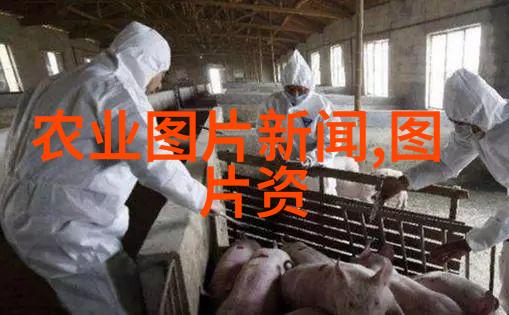 古籍秘方中的奇药揭开当年收益的神秘草本
