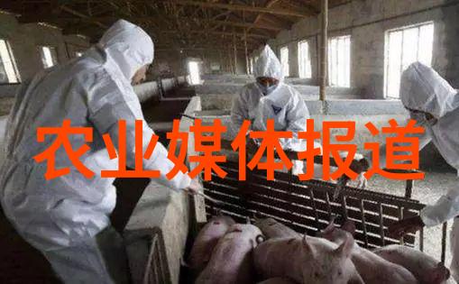 牧场之谜揭秘畜小牛羊的养殖艺术