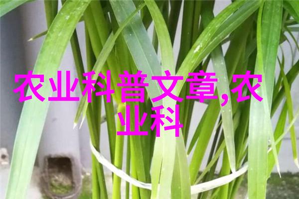 广州香料园的故事如何在温暖的阳光下培育出香甜多汁的桂花精油