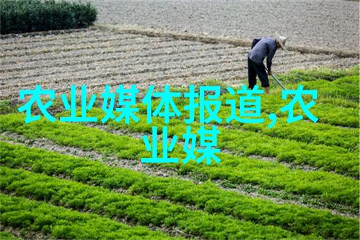 缅甸政治局势动荡缅甸军政府与民间组织的冲突