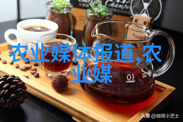 紫河车珍贵药材的收获与应用
