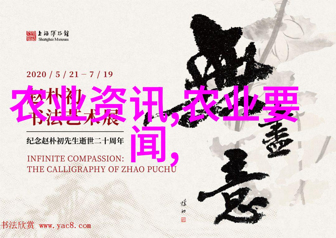 春日绽放的色彩盛宴