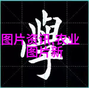 养蜂技术视频全过程我来教你怎么做