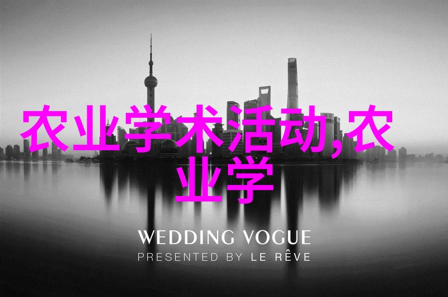 探索9612黄桃网站在iOS上的独特体验