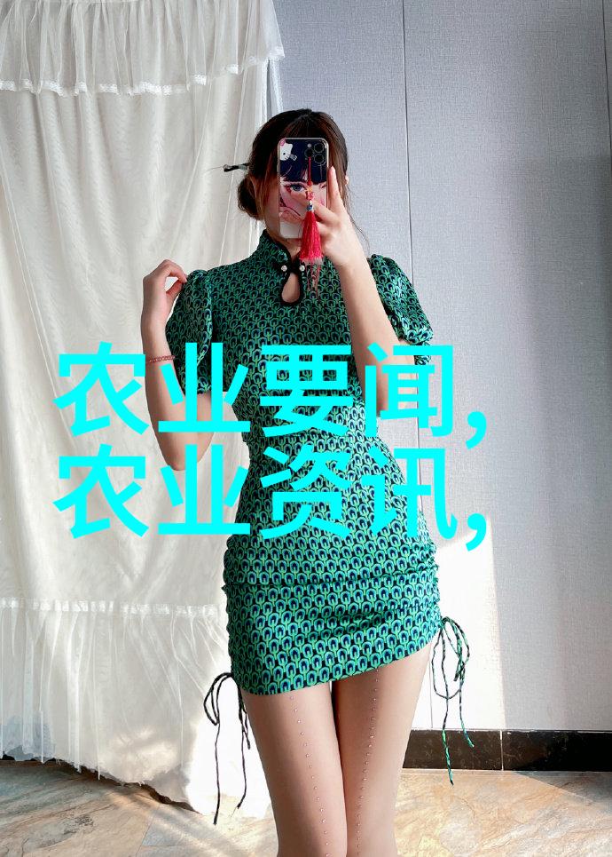 懒人果树一年四季的丰硕结果