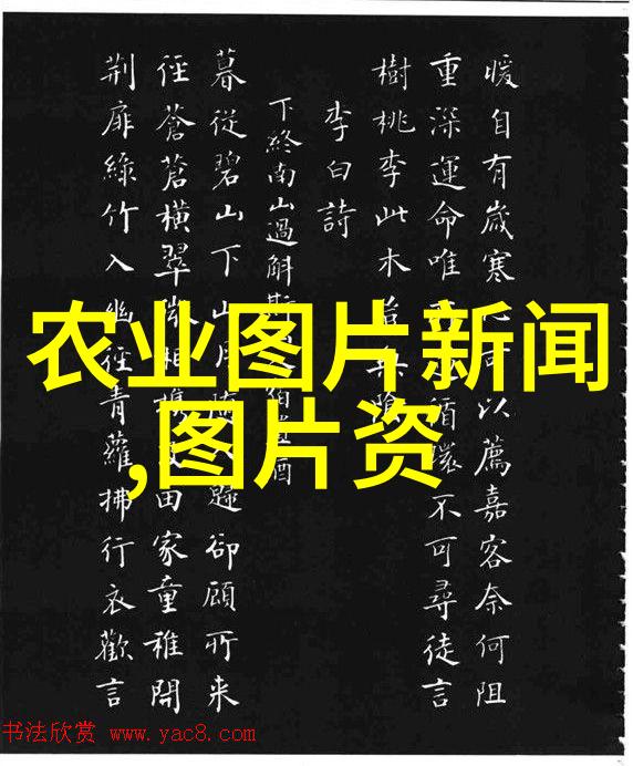 高科技助力蜂群繁荣探索现代养蜂新纪元
