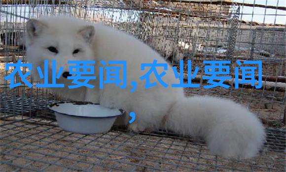 中国养殖业现状及发展趋势 - 畜牧繁荣新篇章深度解析中国养殖业的成就与未来走向