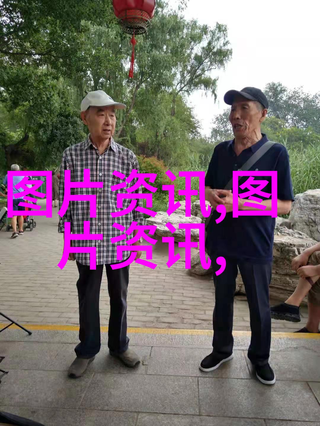 花艺全息探索各类花卉养殖技术的艺术与科技