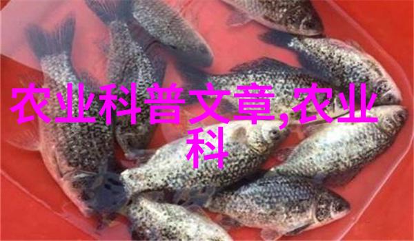 我要找云南花卉批发基地在哪里