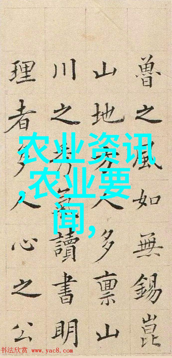冬青植物12公分种植价格表优质绿色装饰植物花卉成本清单