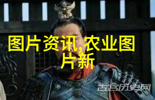 乡村医药草根良方的回归
