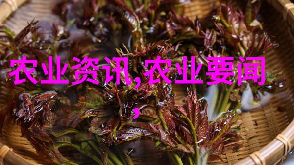 湖南农科院药材种苗能否开启新时代的中医药资源革命