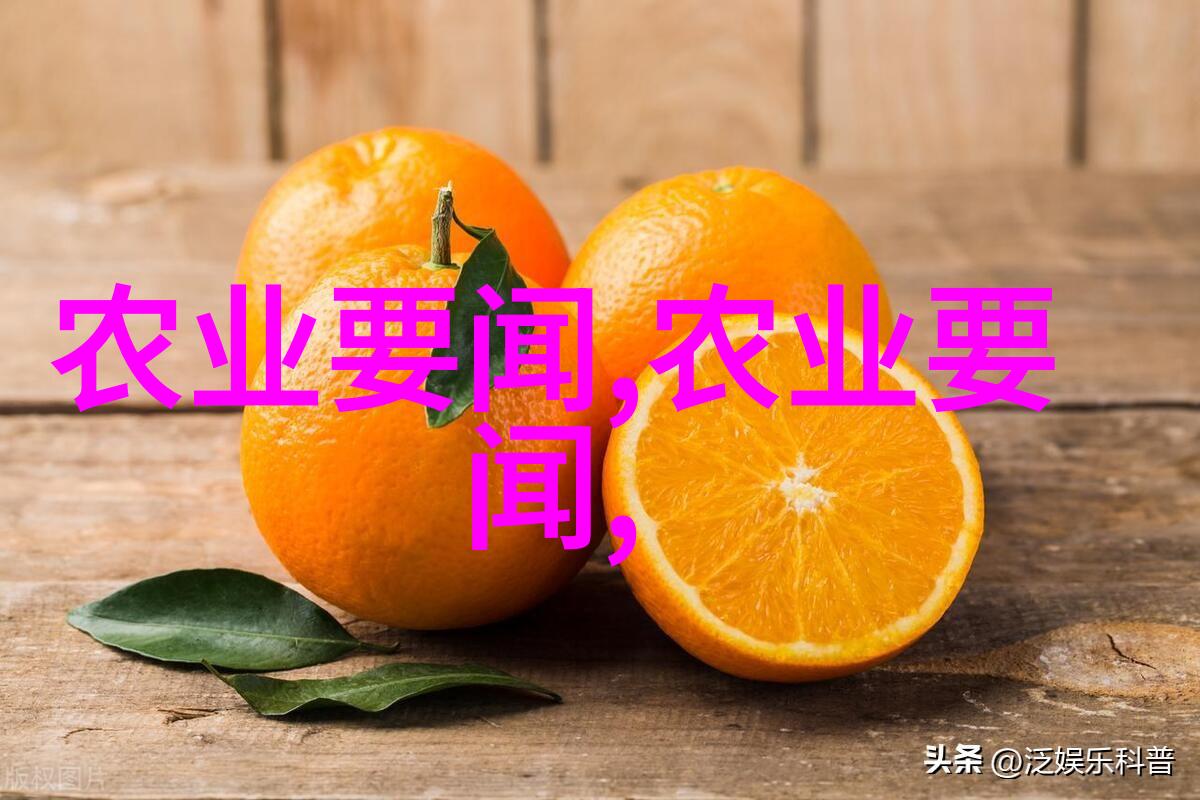 鱼粉的用途