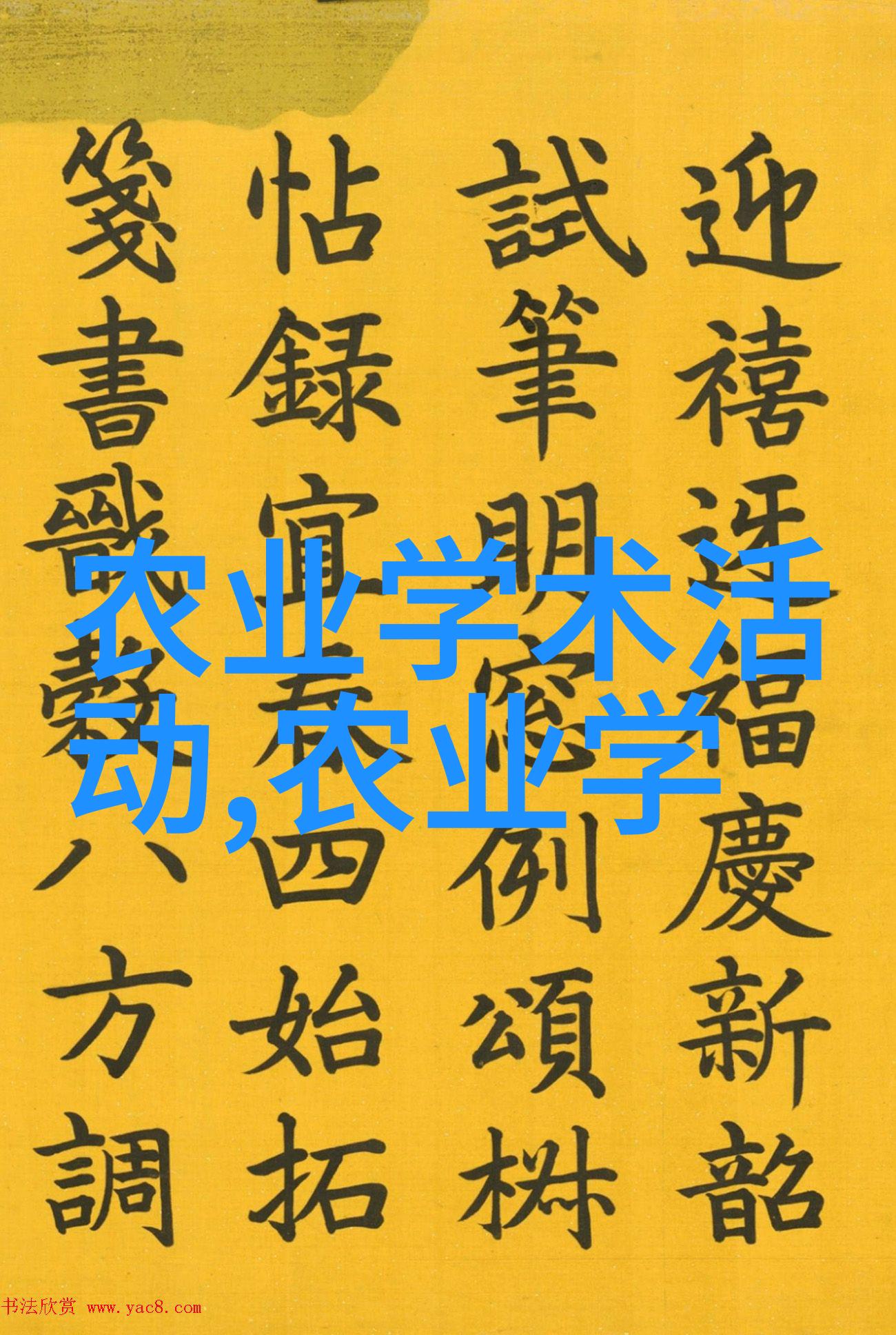 农村养殖什么好养又好卖-丰收佳作探索农村最佳养殖选择
