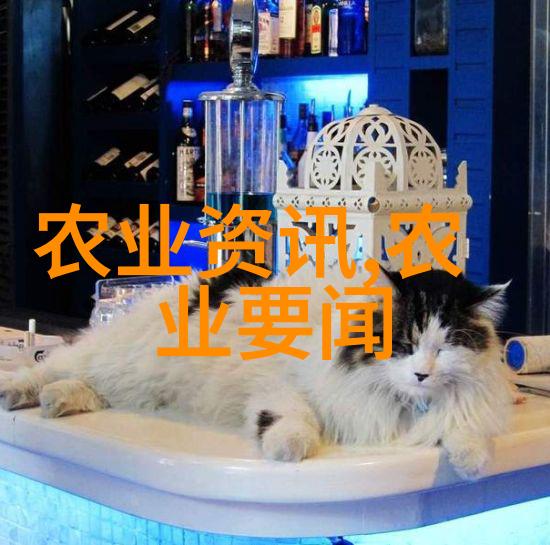 代表来了第二期主题活动在成都中心顺利举行