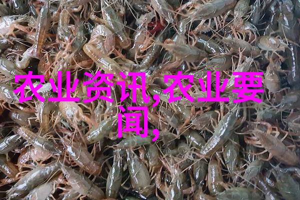茶的基本知识绿茶红茶黑茶白茶乌龙茶