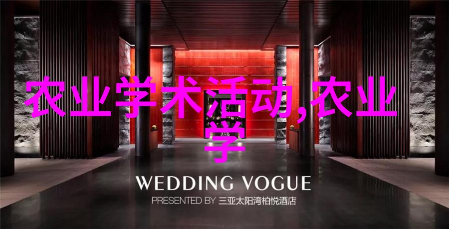 爱情的误打误撞探索惹婚背后的文化与心理