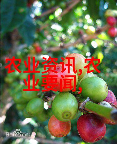 政策增储叠加进口减少玉米市场回暖可期