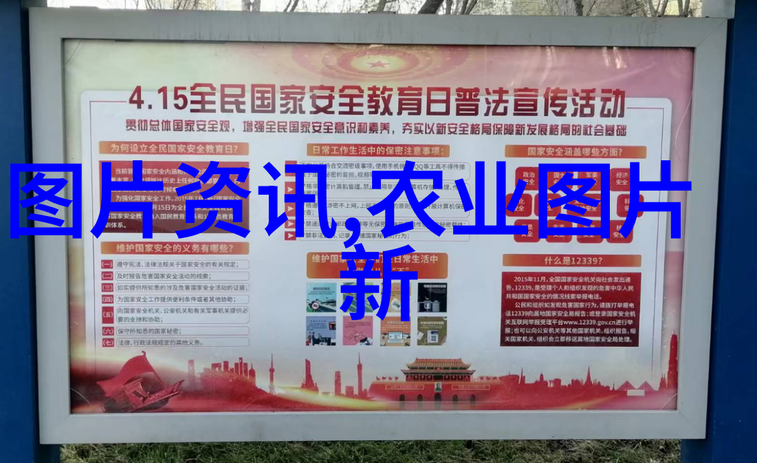 从云南到世界茶叶的古老传承与现代文化融合