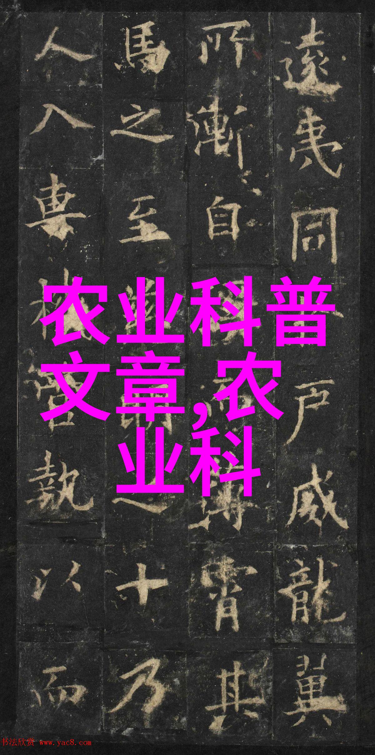 传统工艺与现代机械化生产之间茶叶制作有何变迁