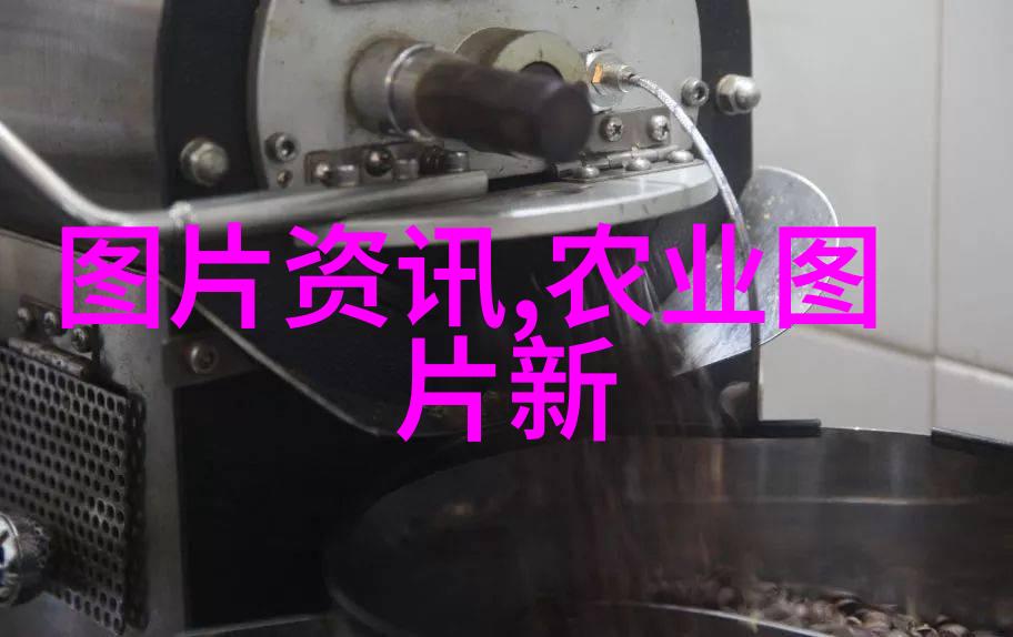 翠绿巨树与微小花朵探秘苗木世界的反差之美