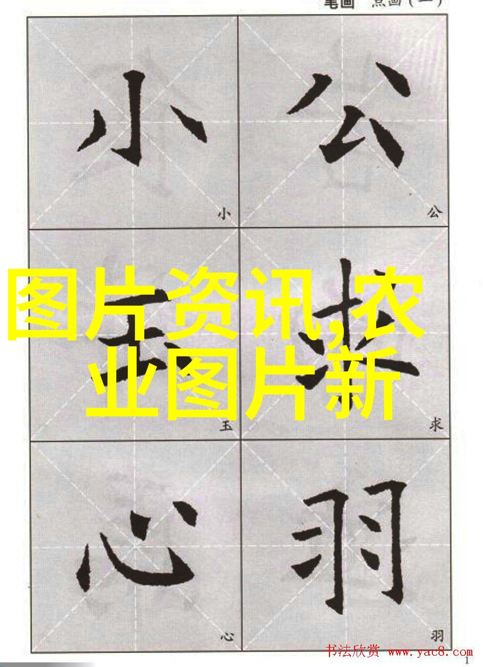 蜂群智慧土蜜蜂养殖与管理的艺术与科技