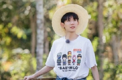 水果籽盆栽美学揭秘那些视觉上最引人注目的种植佳选