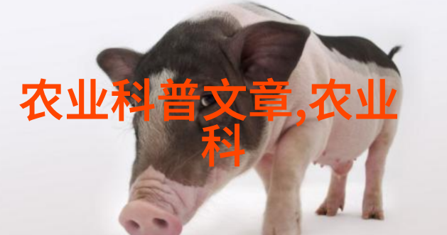 黄精宝地一亩之种