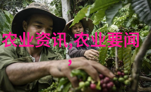 豪门养花一亩三分钱的绿茵场
