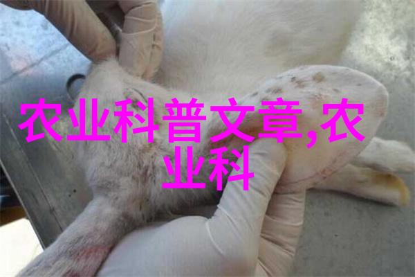 庆祝人民警察节英雄在行动的纪念日