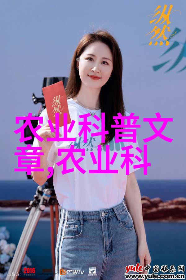 化油器的故事燃烧效率与维护秘诀