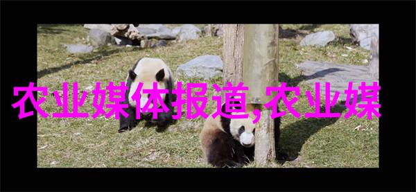 广东适合种植什么药材我在广东这儿能种什么药材啊