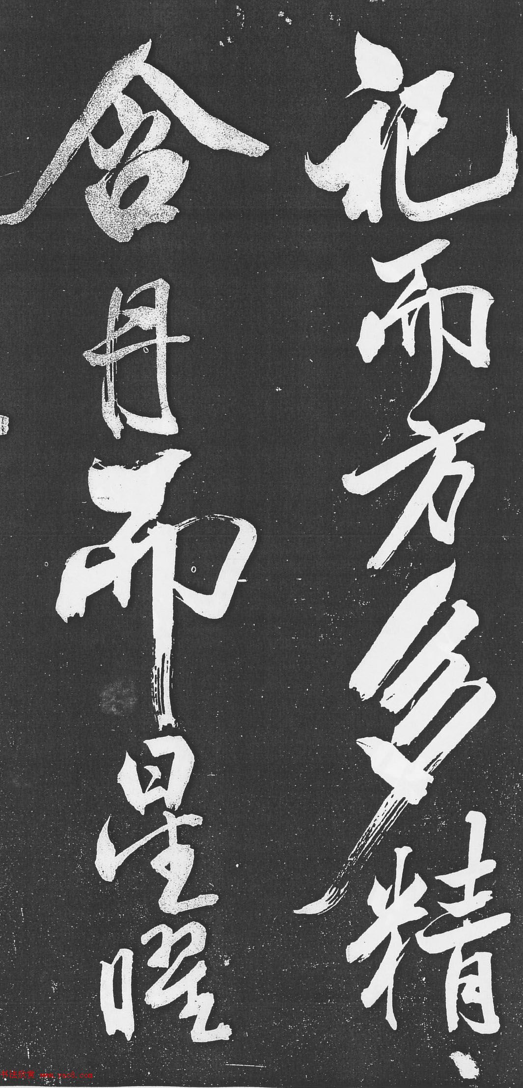 探索园艺世界苗木类型的多样与选择