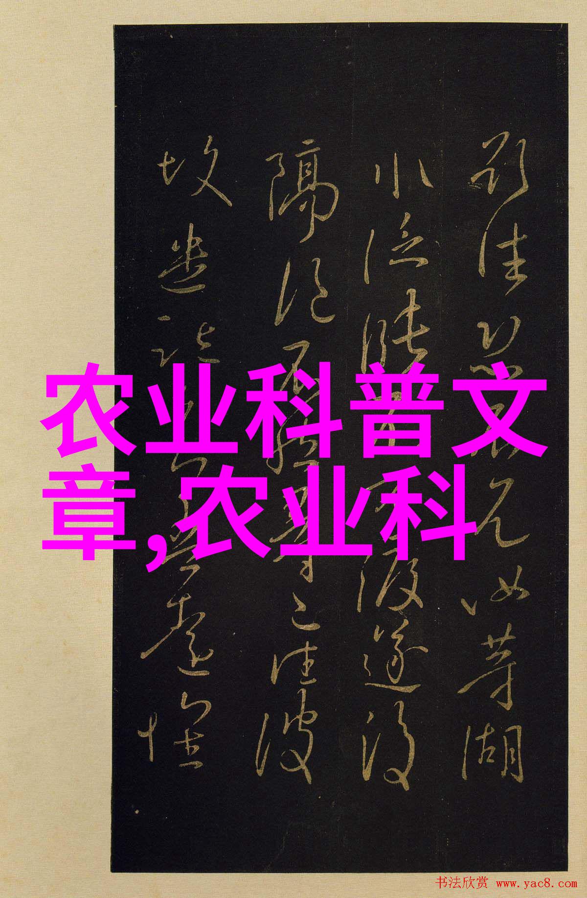 茶树的知识-揭秘绿茵茶树栽培与品种大全