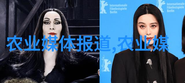 创新驱动农村小型加工厂如何实现可持续发展