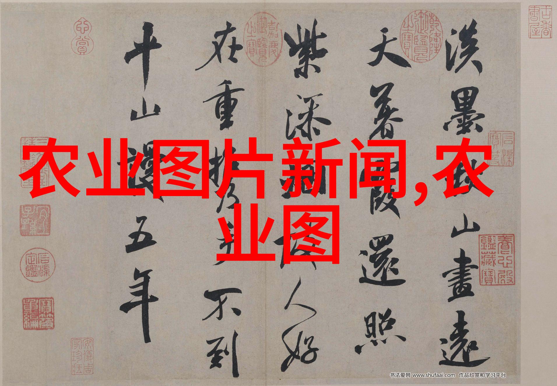 药材养殖项目哪种最好-选择药材揭秘最佳养殖项目