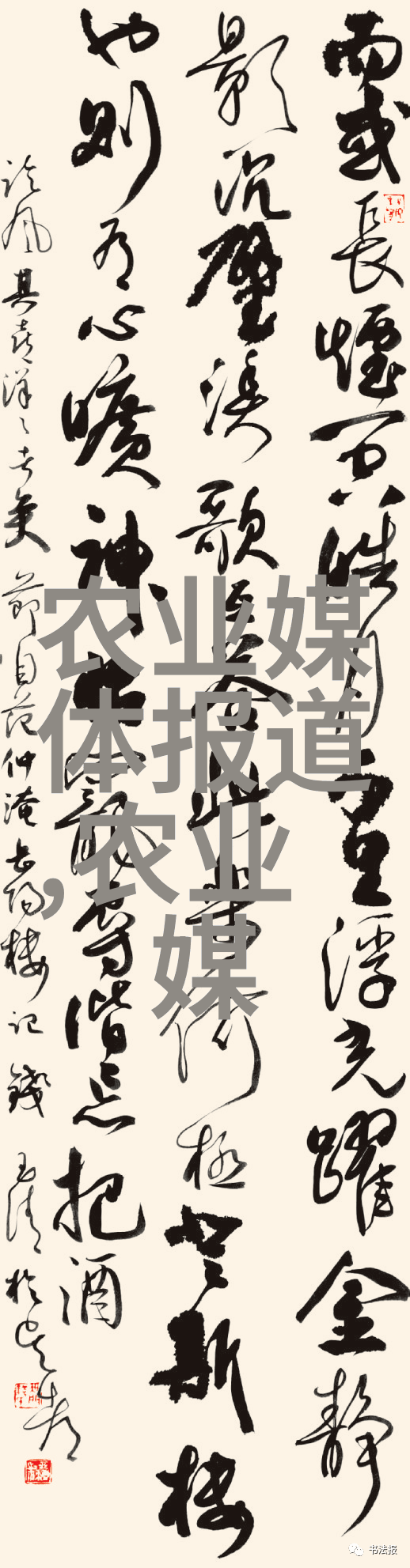 绿意盎然探秘百花繽紛的多肉奇迹