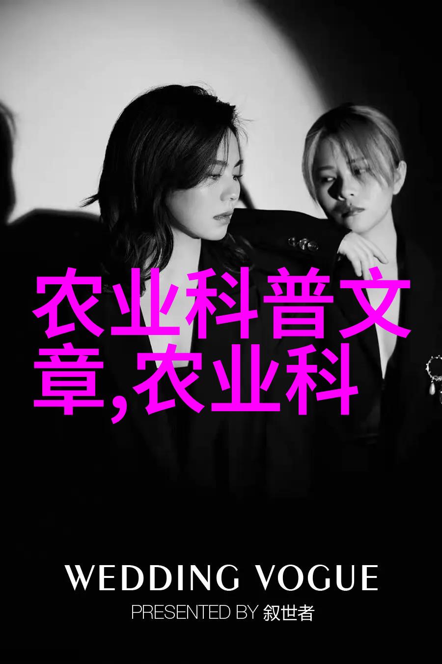 中国茶文化的兴起与演变史