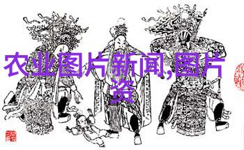 什么是最好的水分管理方法来养护郁金香