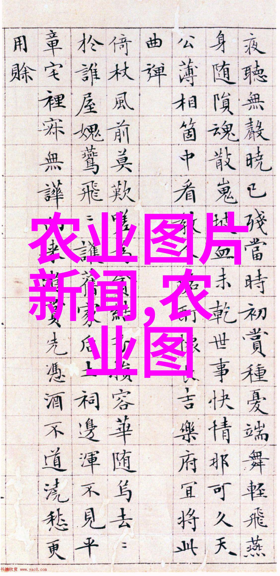 春夏秋冬盆栽艺术四季常青植物的选择与养护