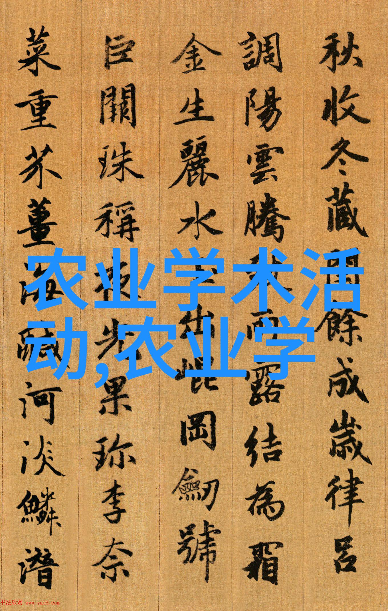 茶文化-品味千古揭秘各种茶叶的种类和名字