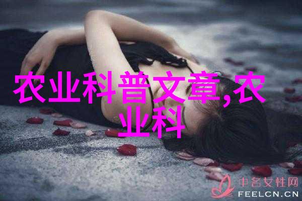 茶文化-品味时光深入探索中国茶叶的历史与工艺
