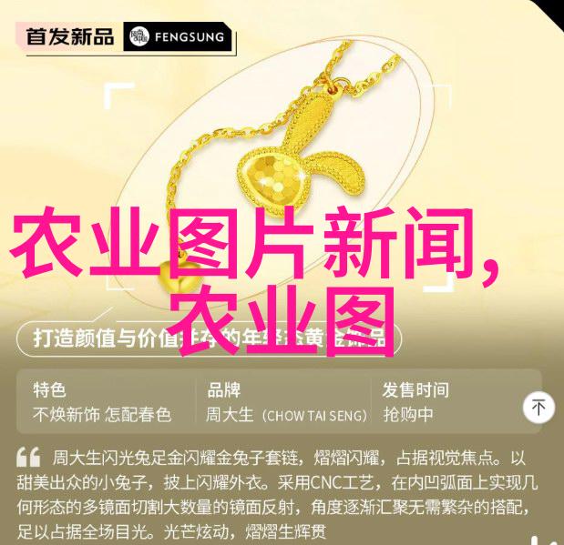 绿意盎然的菜园十字花科蔬菜的故事