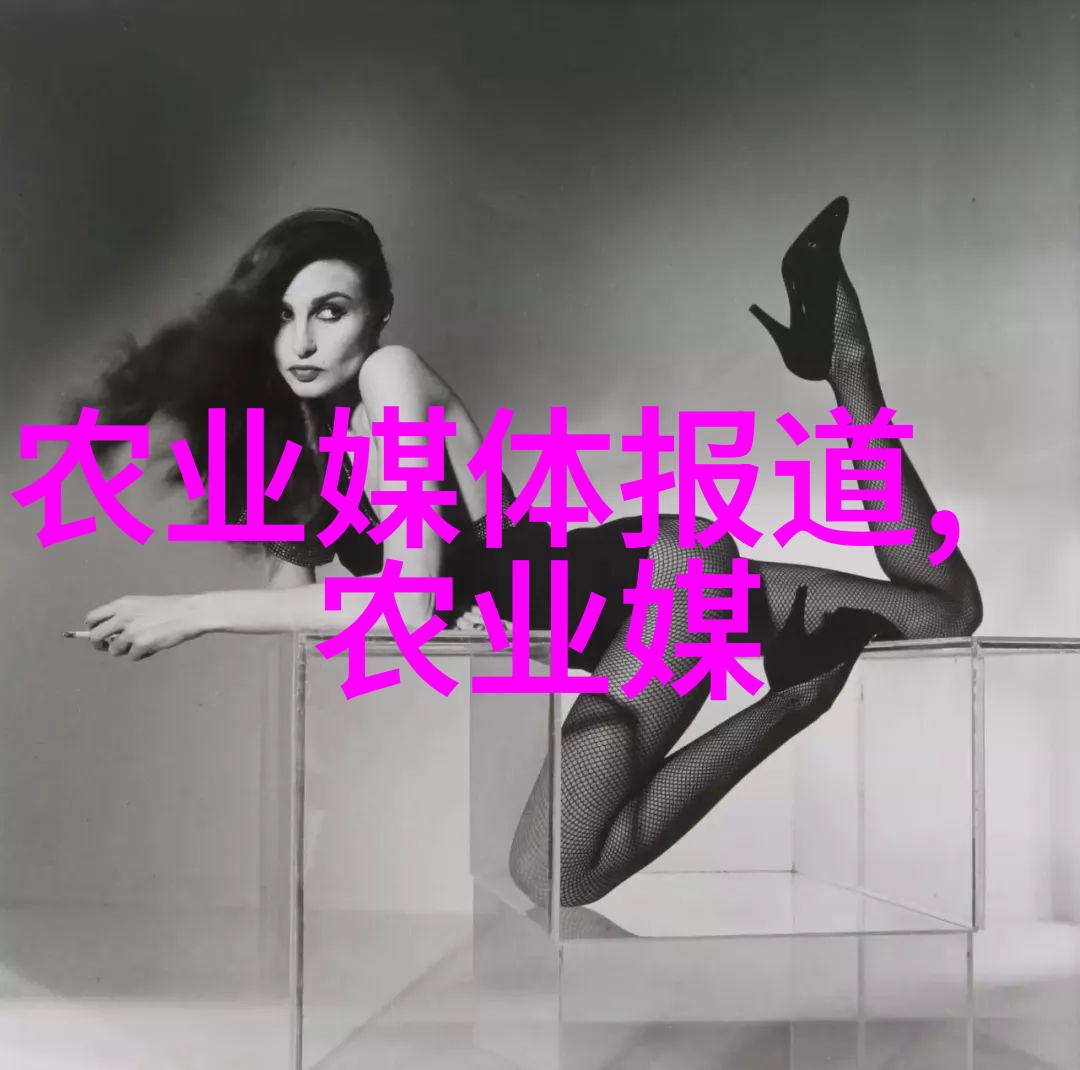 工地小型机械设备构建效率与安全的双重保障