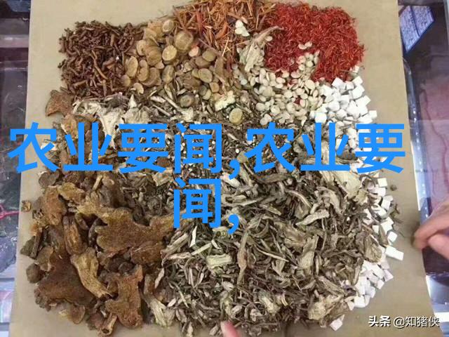 农业机械商标名称我家的耕耘龙一个让农忙轻松的好帮手