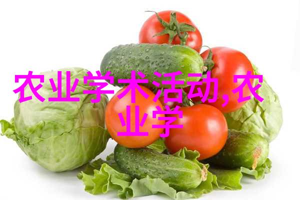 蔬菜种植的艺术与智慧