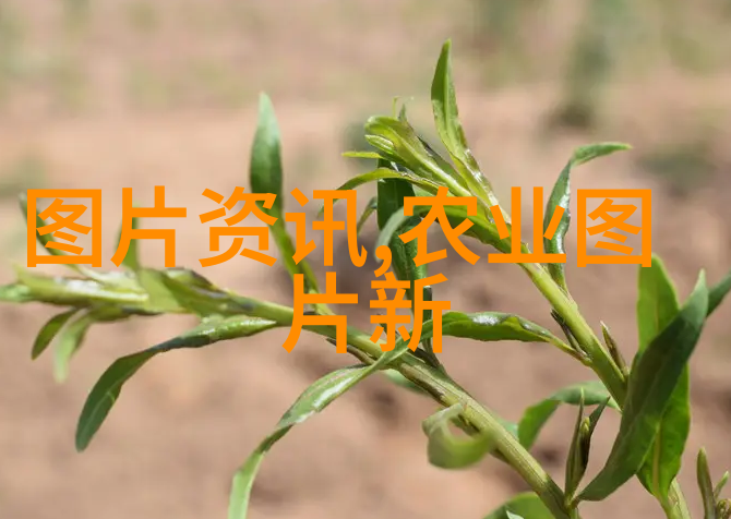 五一启航新时代公积金政策的轮廓